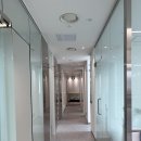 메디칼 세븐(7) 이미지