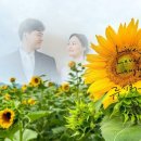 레이디＜안영순＞ 딸 결혼(2월15일)!--효정양 결혼축하해요 이미지