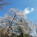 정선읍사무소 이미지