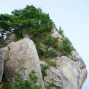 천황지맥(70km) 시작의 순간은 누구나 서툴다 이미지