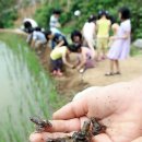 강서방사 이미지