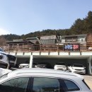 라팡드포레 | 비발디파크 인근 펜션 &#39;라팡드포레&#39; 이용후기 (ft.양평)