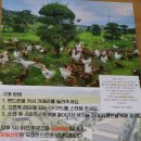 난각번호1번 유정란 자미유정란 자연방사 유정란 동물복지 유정란 후기