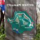 안산벚꽃음악회 이미지