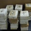﻿Drug Trafficking: Central America’s Dark Shadow ﻿ 이미지