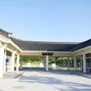 싱그러운청도로(봄) 이미지