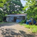 당산나무민박 이미지