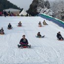 무봉산청소년수련원 눈썰매장 평택자치신문