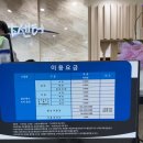 돌산슈퍼 | 슈퍼커브 전국일주 5일차(1) ; 팔영대교의 절경 그리고 첫 앵꼬..