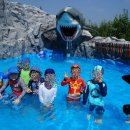 숲푸레어린이집 이미지