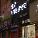 테오종합동물병원