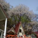 포에버팬션 이미지