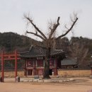 장성 필암서원(사적242호), 호남 제일의 사액서원