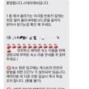 스테이 레브 이미지