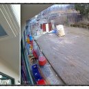 순복이네 이미지