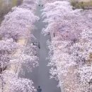 장군로-2 이미지