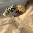 르네브로우 | 결혼준비11-2. 천안 르네블랑 웨딩촬영 당일 드레스 후기(2) 레이스 풍성드레스