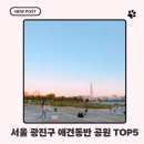 숲나루공원 | 서울 광진구 강아지랑 산책하기 좋은 공원 TOP5! 한강부터 숲길까지 직접 다녀온 후기