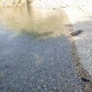 레인보우펜션 - 동해시 일출로 243-7 | 레인보우펜션