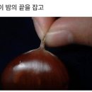 강월초교 | 추석 연휴의 끝을 잡고 ~ ♪ ♬