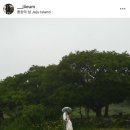 W7. 2025 제주 여름 한정 웨딩 패키지 계약 후기 (지음×유아오×바질) 💍🕊️🤍