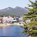 수승대 네이버블로그