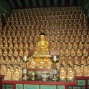 완도 신흥사 목조약사여래좌상 이미지