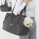 모던켄넬 이미지