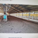 행복양계장 이미지