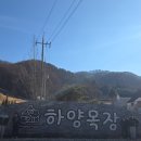 새하얀목장 | 홍천 하양목장 입장료 할인, 먹이주기 체험 후기