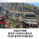 니지모리스튜디오에서 당일치기여행 즐기기! 사진, 전시, 퀘스트, 카페 내돈내산 후기