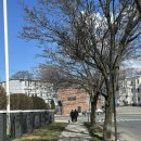 그린좋은주유소 | 미국 보스턴 가성비 호텔 홀리데이 인 보스턴 캠브릿지 후기