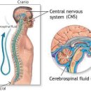 동작서울정형외과의원 이미지