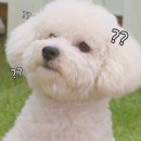 냠냠 - 서산시 | 냠냠