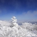 제330차 대전충청 볼링동호회 정기모임 이미지