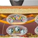 원케어메디칼 이미지
