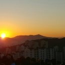 해가뜨다 이미지