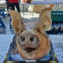 강천체육공원 이미지