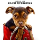 더웨이홈