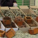 정가네 민박 이미지