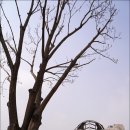 동구-21(대전천 이미지