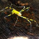 산생경로당 이미지