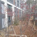 서충주 오드카운티 이미지