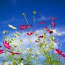 와우농장 이미지