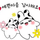 구공플라워 이미지