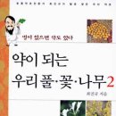 명의약초 이미지