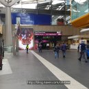 써던크로스 이미지