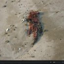 하누지 - 담양군 죽향대로 1164 | 하누지