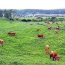 충청북도동물위생시험소 이미지