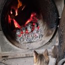 의곡초등학교 이미지